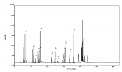 蛋白質粉-氨基酸