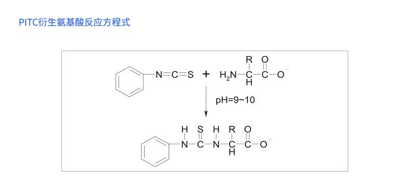 PITC衍生氨基酸反應(yīng)方程式